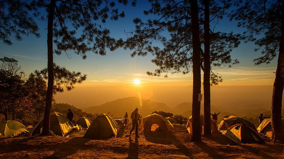 camp tent tree sunset